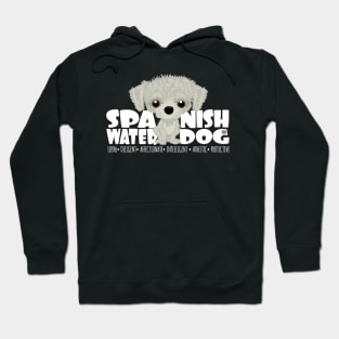 Spanish Water Dog (White) - DGBigHead Hoodie